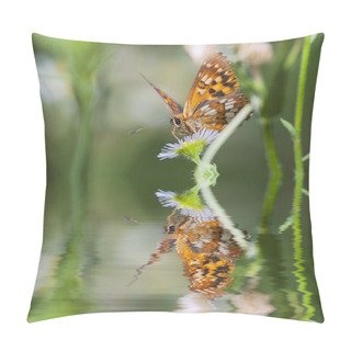 Personality  Butterfly On Flowers And Reflection Pillow Covers