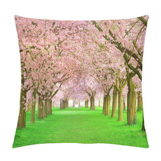 Personality  Avenue Of Spring Pink Blossom Trees Pillow Covers