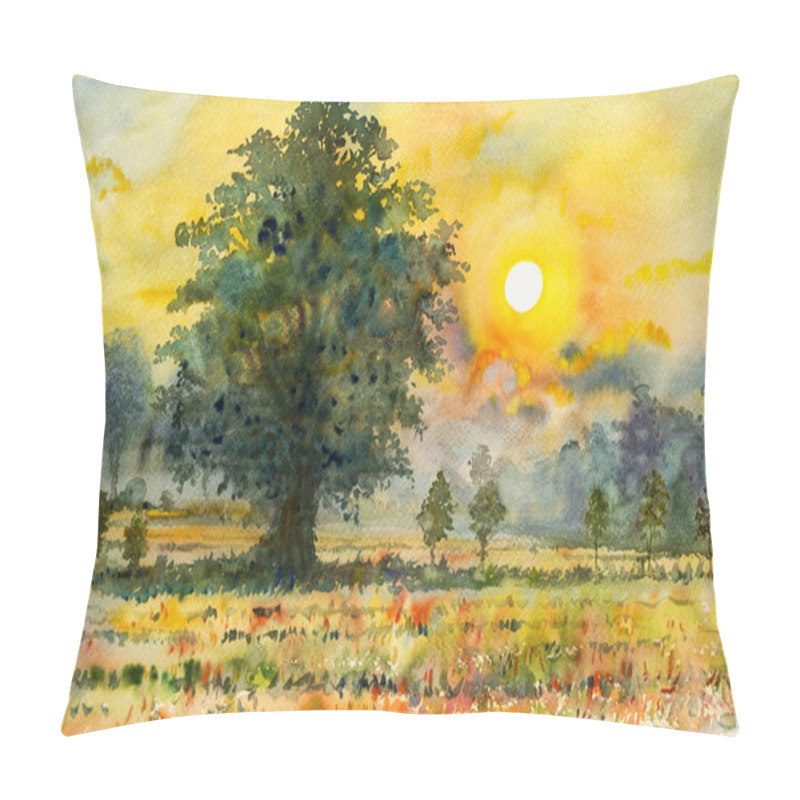Personality  Colorful Of Rice Field In Countryside And Emotion In Sunset Pillow Covers