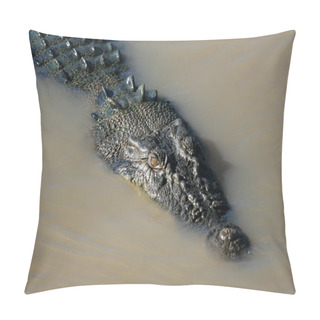 Personality  Crocodille - Kakadu National Park, Australia Pillow Covers