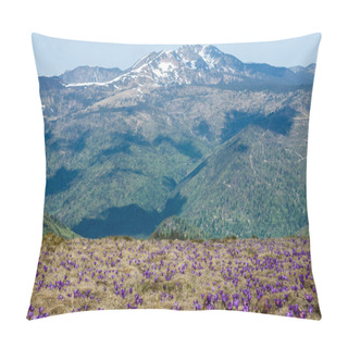 Personality  Romania Pillow Covers