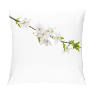 Personality  Branch In Blossom Isolated On White Background. Cherry Plum Pillow Covers