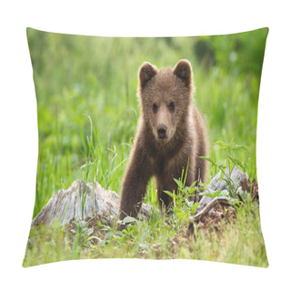 Personality  An Adorable Little Brown Bear Cub Posing In The Meadow Pillow Covers