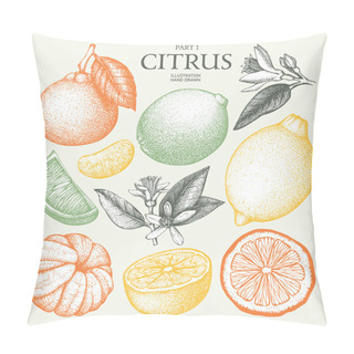 Personality  Set Of Citrus Fruits Pillow Covers