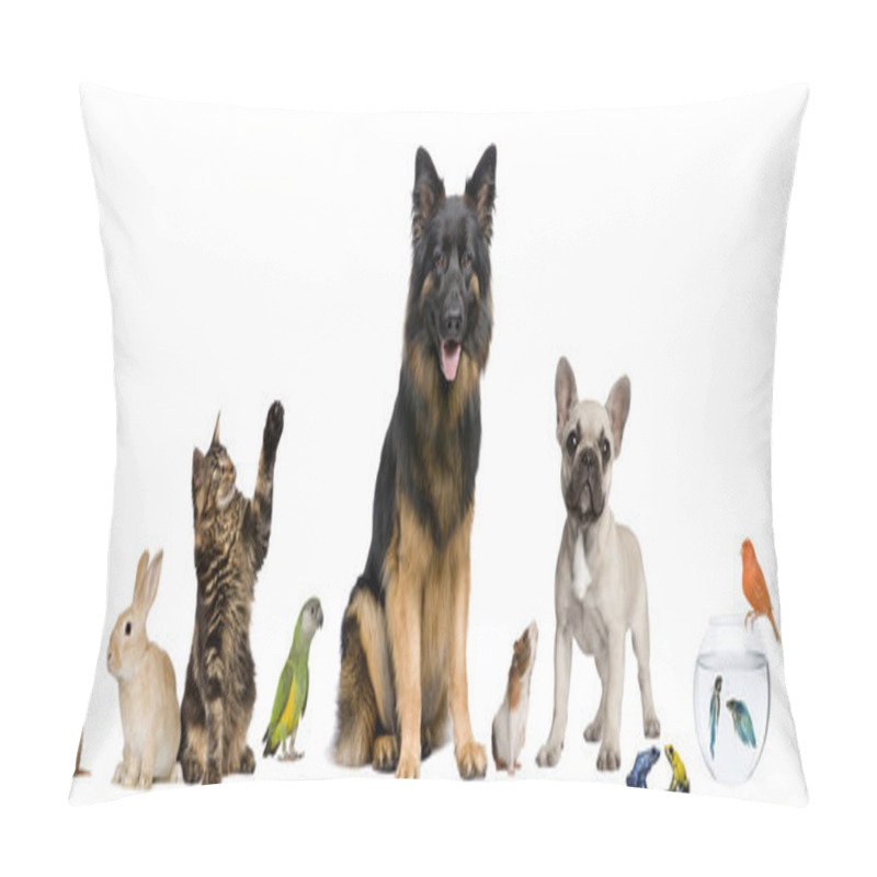 Personality  Group Of Pets Together In Front Of White Background Pillow Covers