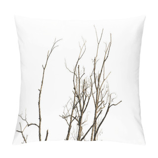 Personality  Dead Tree Bare Branches On White Background. Pillow Covers