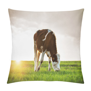 Personality  Cow Grazing In Fresh Pastures Pillow Covers