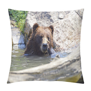 Personality  Grizzly Bear - Isolated Pillow Covers