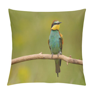 Personality  European Bee-eater - Merops Apiaster The Colorful Exotic Bird Pillow Covers