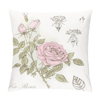 Personality  Rose Botanical Illustratoin Pillow Covers