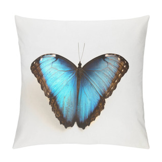 Personality  Beautiful Blue Morpho Butterfly On White Background Pillow Covers