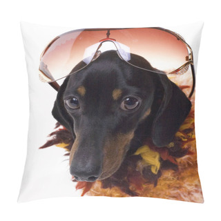 Personality  Dachshund Dog With Glasses Pillow Covers