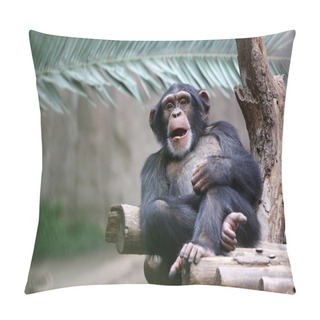 Personality  Chimpanzee Pillow Covers