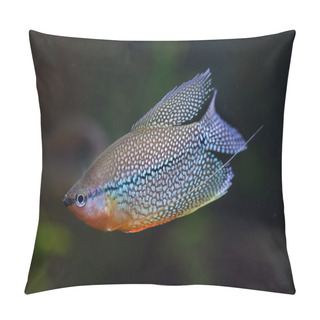 Personality  Pearl Gourami (Trichopodus Leerii) Pillow Covers