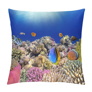 Personality  Underwater World. Coral Fishes Of Red Sea. Pillow Covers