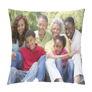 Personality  Portrait Of Extended Family Group In Park Pillow Covers