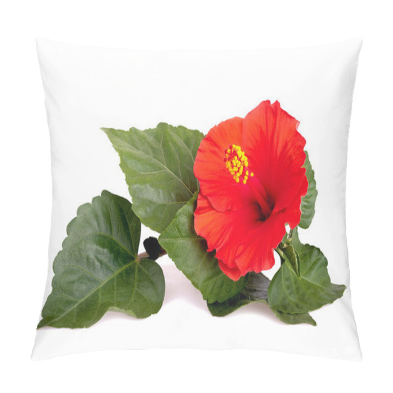 Personality  Red hibiscus pillow covers