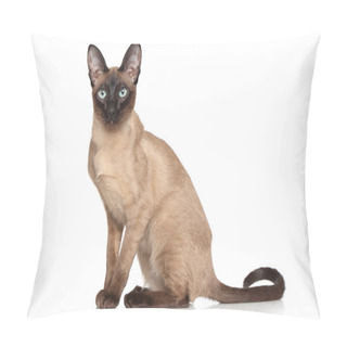Personality  Siamese Oriental Pillow Covers