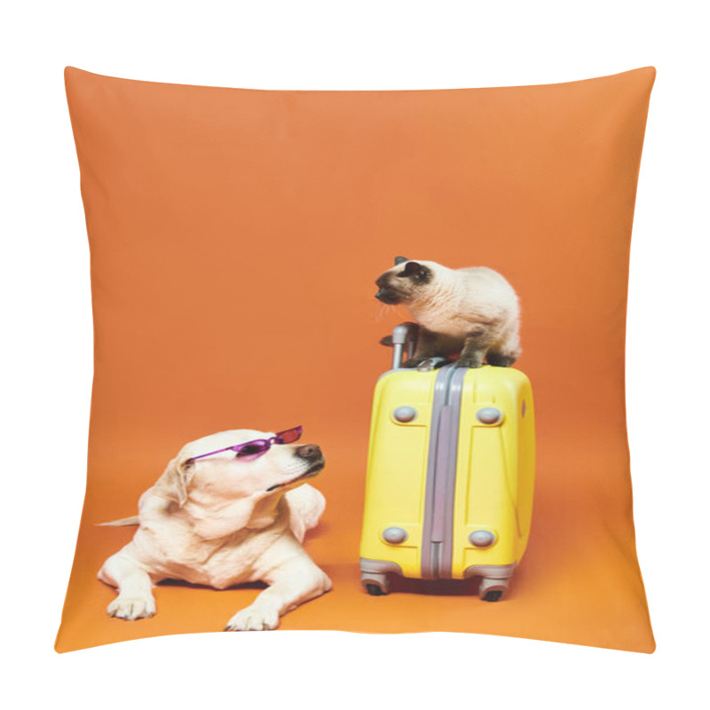 Personality  A Dog Comfortably Sitting On A Suitcase Next To A Curious Cat In A Cozy Studio Setting. Pillow Covers