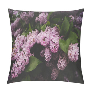 Personality  Lilac Bloom In Spring In The Rain Pillow Covers