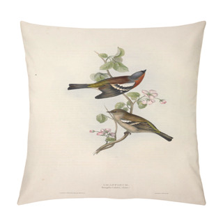 Personality  Illustration Of A Bird. The Birds Of Europe. Pillow Covers