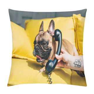 Personality  Cropped View Of Woman With Tattoo On Hand Holding Retro Phone Near Cute French Bulldog  Pillow Covers