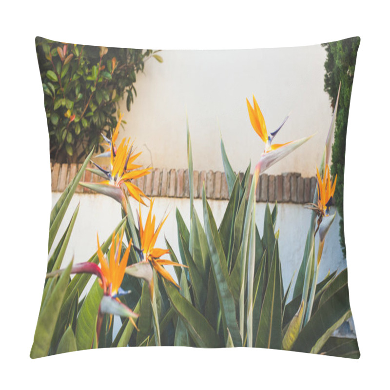 Personality  Beautiful Strelitzia Flowers Infront Of White Wall Pillow Covers