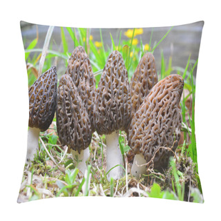 Personality  Large Group Of Seven Black Morel Or Morchella Conica, Early Spring Wild Mushrooms In Natural Habitat On The Coast Of A Mountain Stream Pillow Covers