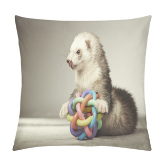 Personality  Nice Ferret Playing With Toy In Studio Pillow Covers
