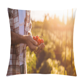 Personality  Farmer Holding Tomatoes Pillow Covers