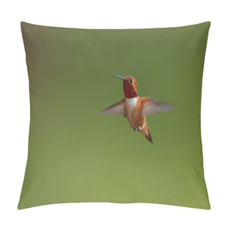 Personality  Rufous Hummingbird Male In Flight Pillow Covers