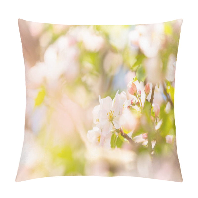 Personality  Sunny apple blossom during the spring season pillow covers