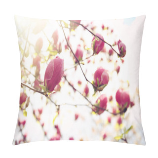 Personality  Branches With Beautiful Magnolia Tree Buds  Pillow Covers