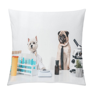 Personality  Dogs Scientists In Laboratory Pillow Covers