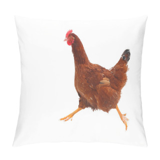 Personality  Running Hen - Isolated Pillow Covers