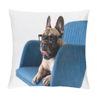 Personality  French Bulldog In Eyeglasses On Chair  Pillow Covers