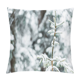 Personality  Close Up View Of Spruce Branches Covered With Snow Pillow Covers