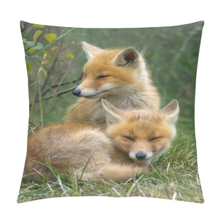 Personality  Two Little Red Fox Cub Pillow Covers