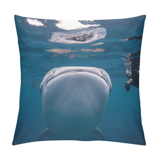 Personality  A Young Whale Shark Pillow Covers