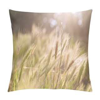 Personality  Sunshine Pillow Covers