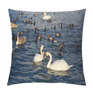 Personality  Birds Pillow Covers
