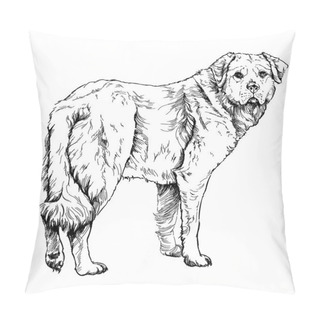 Personality  Sketch Of Dog. Illustration. Pillow Covers