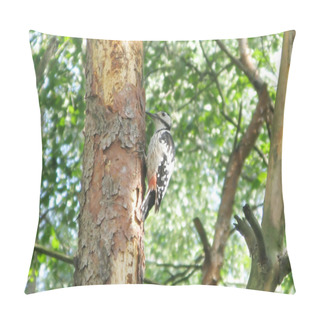 Personality  Woodpecker Bird Pillow Covers