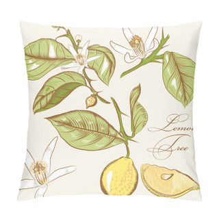 Personality  Collection Of Vector Hand Drawn Lemon Tree  Flowers And Lemons Pillow Covers