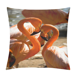 Personality  Loving Flamingos Forming A Heart Shape Pillow Covers