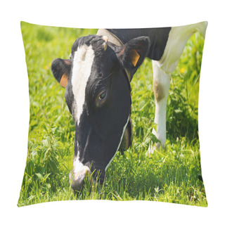 Personality  Cow Eating Green Grass On A Meadow Pillow Covers