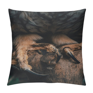 Personality  Close Up View Of Wild Owl Claws In Dark On Wooden Branch Isolated On Black Pillow Covers