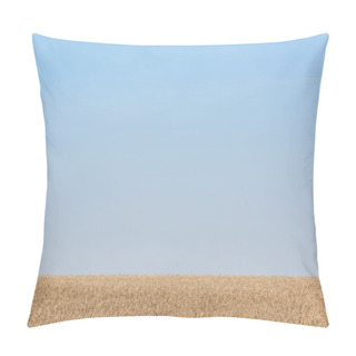 Personality  Golden Rye Field Against Blue And Clear Sky Pillow Covers