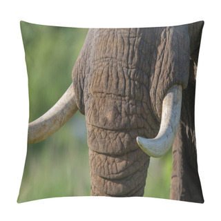 Personality  Portrait Of Wild Elephant Pillow Covers