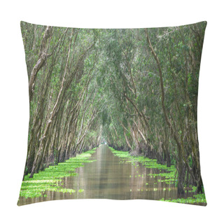 Personality  Melaleuca Forest In Sunny Morning Pillow Covers